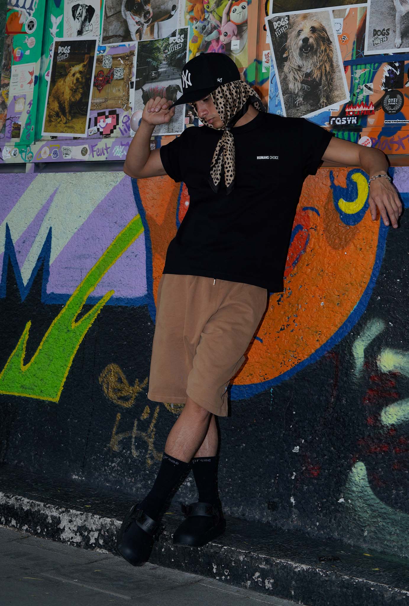 Buckthorn Brown Street Shorts